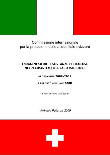 Rapporto annuale 2008 - ISE - Cnr