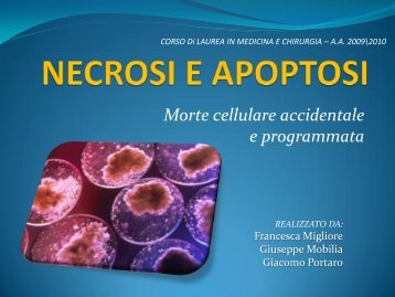 Necrosi e Apoptosi (Migliore, Mobilia, Portaro) - Bgbunict.it