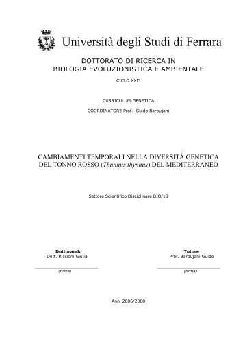 Università degli Studi di Ferrara