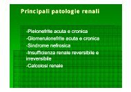 Patologia del rene
