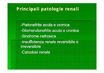 Patologia del rene