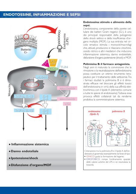 indicazioni tempistica ideale - gd medical AG