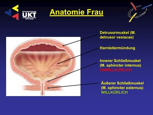 Harninkontinenz - Universitätsklinik für Urologie in Tübingen