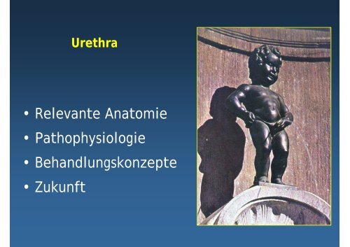 Behandlungskonzepte - Universitätsklinik für Urologie in Tübingen