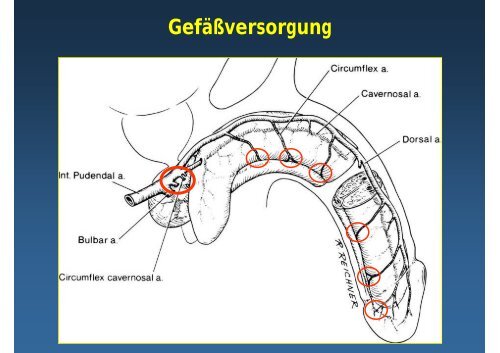 Behandlungskonzepte - Universitätsklinik für Urologie in Tübingen