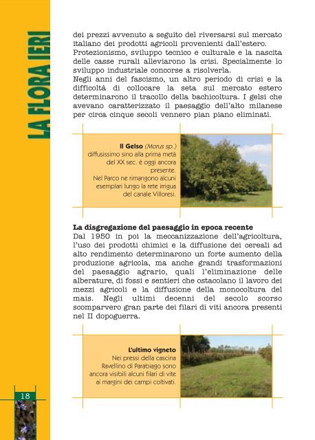 Atlante della Flora nel Parco del Roccolo - Comune di Parabiago