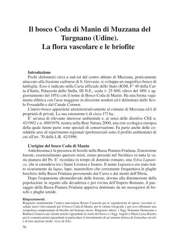 Il bosco Coda di Manin di Muzzana del Turgnano ... - Ad Undecimum