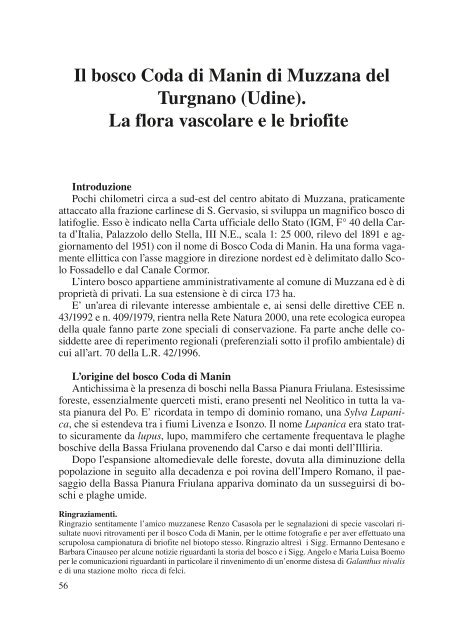 Il bosco Coda di Manin di Muzzana del Turgnano ... - Ad Undecimum