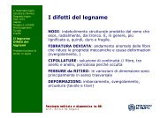 I difetti del legname