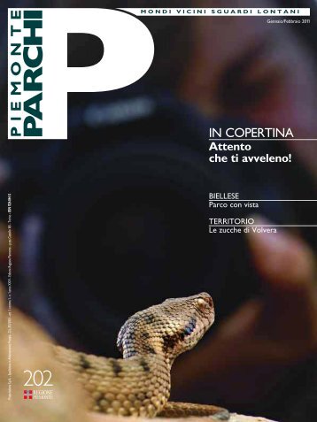 download rivista PDF - Regione Piemonte