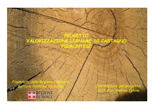 Il progetto - Regione Piemonte