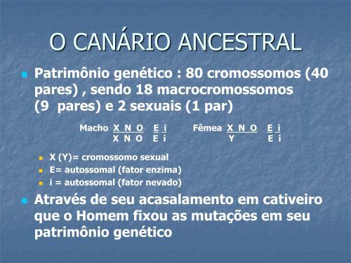 Genética Aplicada aos Canários de Cor - Clube Sano