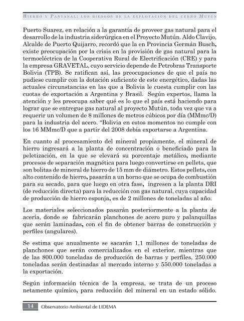 Hierro y Pantanal - Constituyentesoberana.org