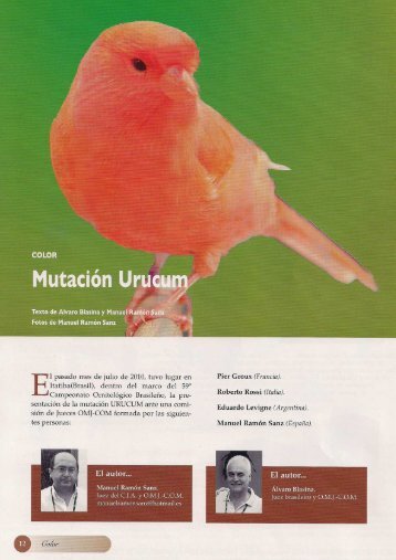 Mutación Urucum