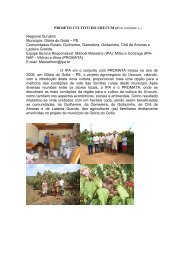 PROJETO CULTIVO DO URUCUM (Bixa orellana L.) Regional ... - IPA