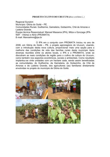 PROJETO CULTIVO DO URUCUM (Bixa orellana L.) Regional ... - IPA