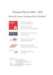 Triannular Report 2008 - 2010 - Scanning Probe Methods Group