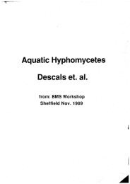 Aquatic Hyphomycetes Descals et. al. - ASCOfrance