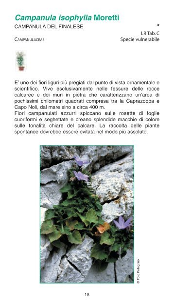 Valori e rarità della flora ligure - Ambiente in Liguria