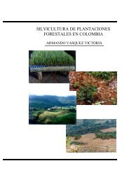 silvicultura de plantaciones forestales en colombia - Universidad del ...