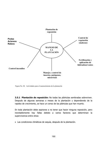 silvicultura de plantaciones forestales en colombia - Universidad del ...