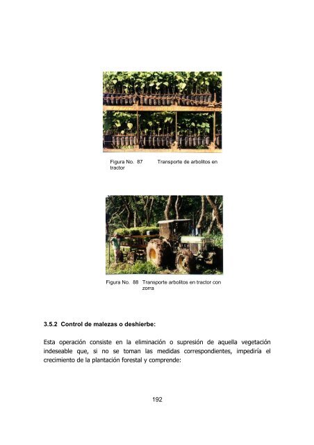 silvicultura de plantaciones forestales en colombia - Universidad del ...