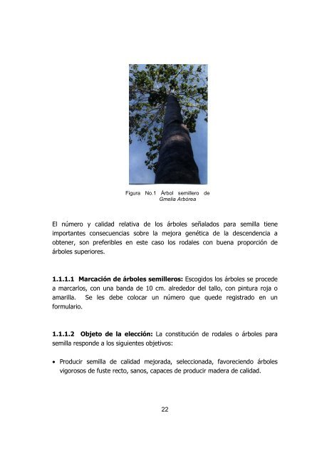 silvicultura de plantaciones forestales en colombia - Universidad del ...