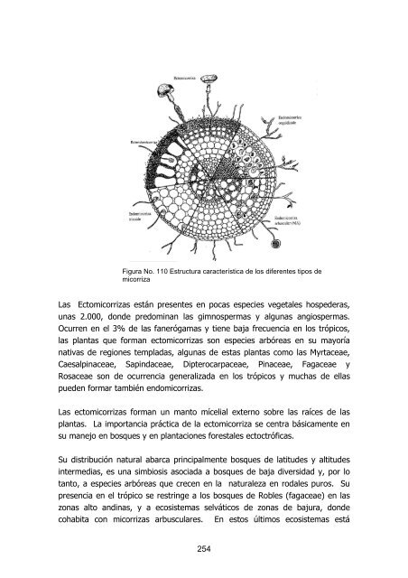 silvicultura de plantaciones forestales en colombia - Universidad del ...