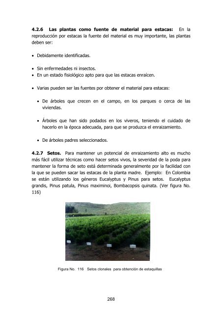 silvicultura de plantaciones forestales en colombia - Universidad del ...