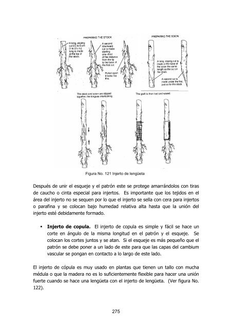 silvicultura de plantaciones forestales en colombia - Universidad del ...