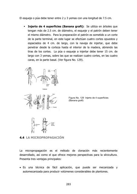 silvicultura de plantaciones forestales en colombia - Universidad del ...