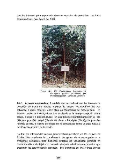 silvicultura de plantaciones forestales en colombia - Universidad del ...