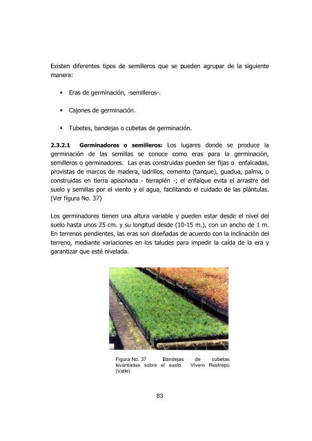 silvicultura de plantaciones forestales en colombia - Universidad del ...