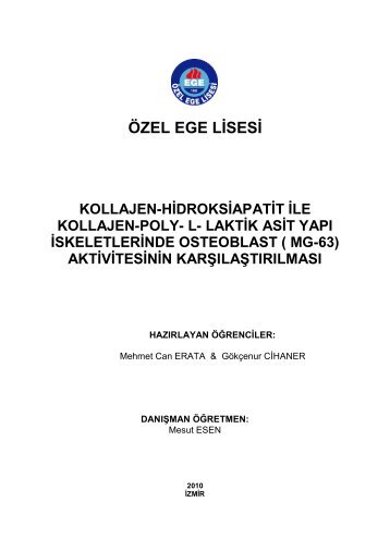 Kollajen-Hidroksiapatit ile Kollajen-Poly-L-Laktik Asit - Özel Ege Lisesi