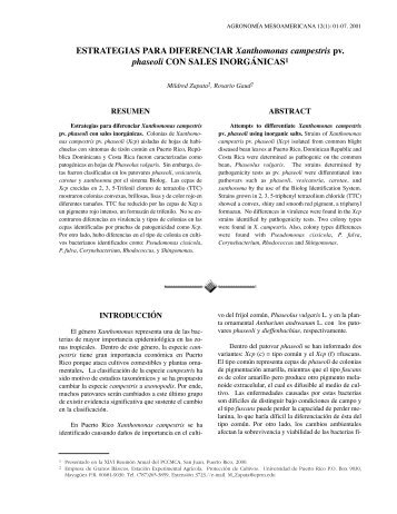 ESTRATEGIAS PARA DIFERENCIAR Xanthomonas campestris pv ...