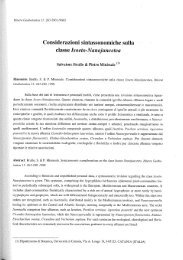 Considerazioni sintassonomiche sulla classe Isoeto-Nanojuncetea