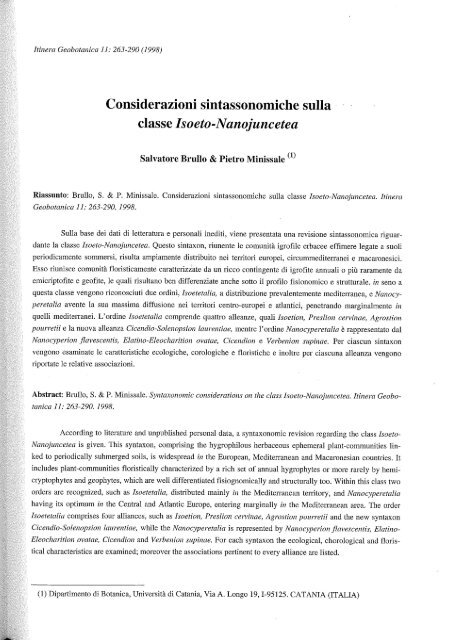 Considerazioni sintassonomiche sulla classe Isoeto-Nanojuncetea