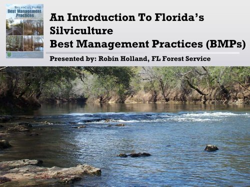 Silviculture Best Management Practices