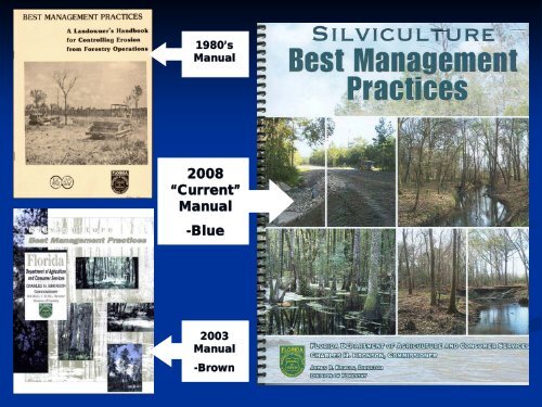 Silviculture Best Management Practices