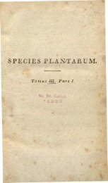 Species Plantarum 3 - 1825.pdf - hibiscus.org