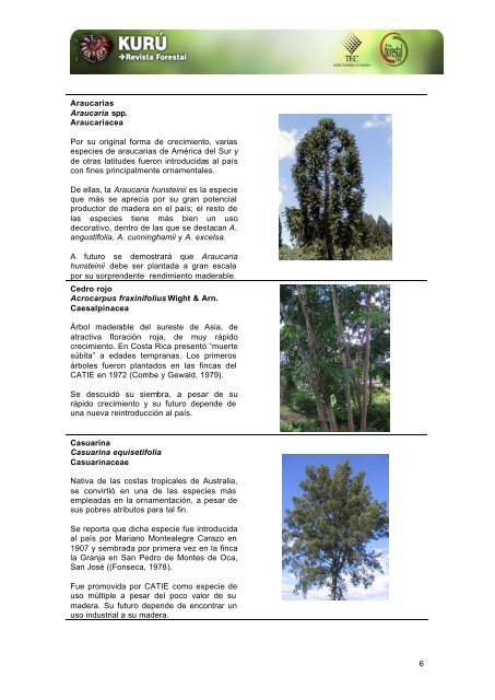 Principales especies forestales introducidas en Costa Rica