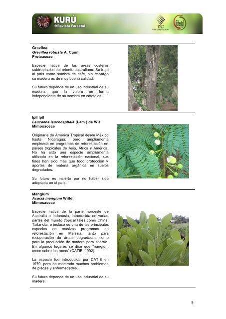 Principales especies forestales introducidas en Costa Rica