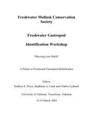 Freshwater Mollusk Conservation Society Freshwater Gastropod ...