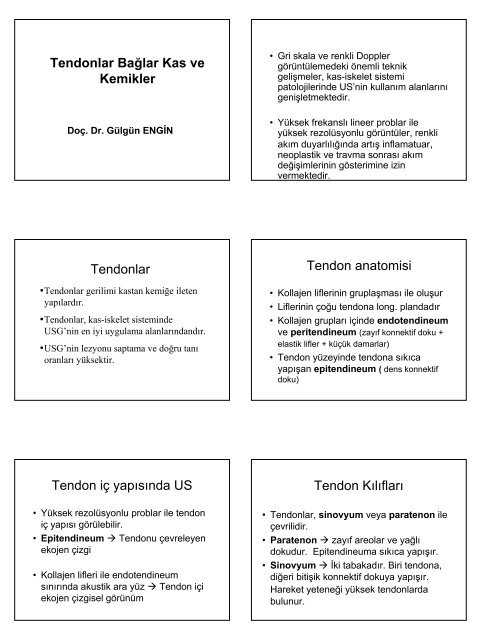 Ideal Kaslar Ve Estetik Analizi