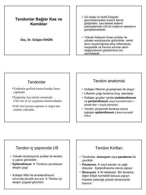 Tendonlar Bağlar Kas ve Kemikler Tendonlar Tendon anatomisi ...