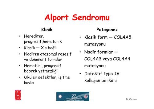 Alport Sendromu