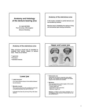 Anatomy and histology of the denture bearing area - Dentistry ...