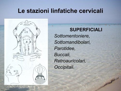 Gli svuotamenti latero-cervicali - Congressiairo.It