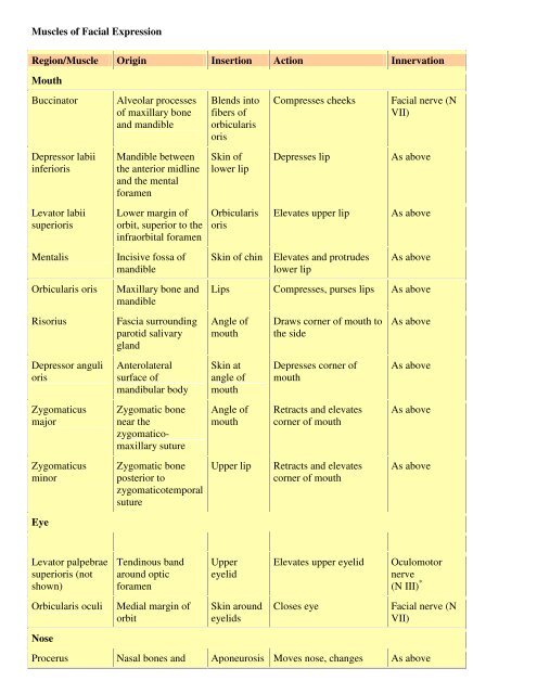 Pectoralis minor muscle: Origin, insertion and action