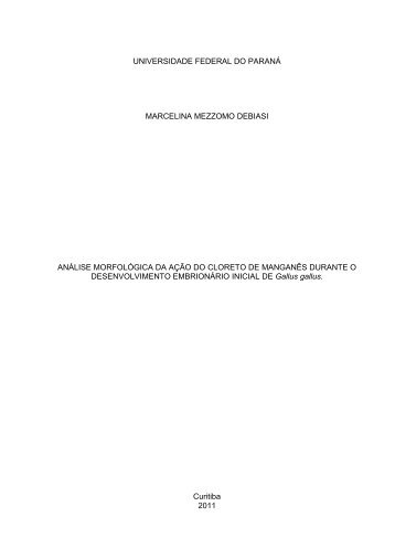 MARCELINA MEZZOMO DEBIASI.pdf - DSpace - Universidade ...